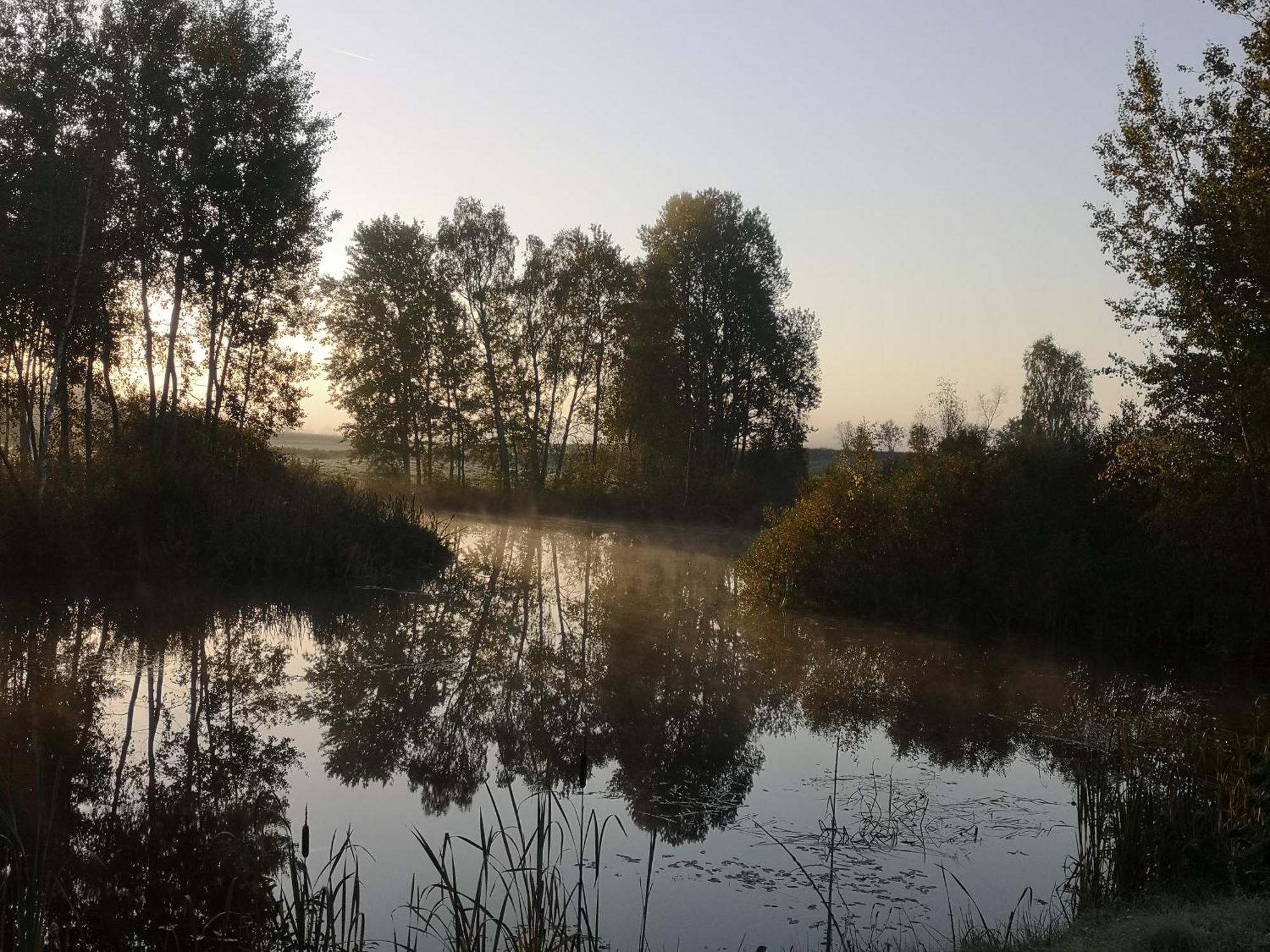 Borowy Zakatek Vila Stara Kiszewa Exterior foto