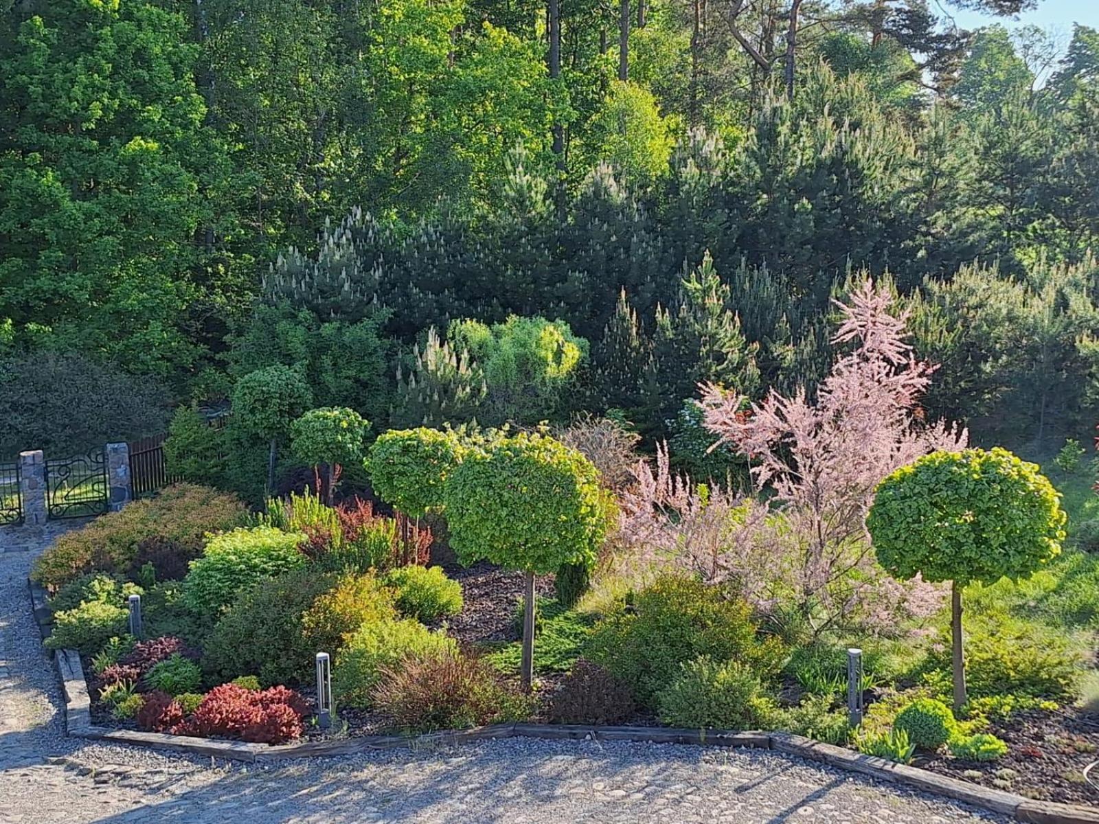 Borowy Zakatek Vila Stara Kiszewa Exterior foto